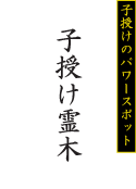 子授けのパワースポット 子授け霊木