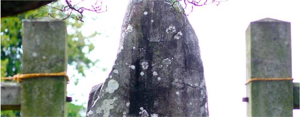 定林寺の歴史と由緒