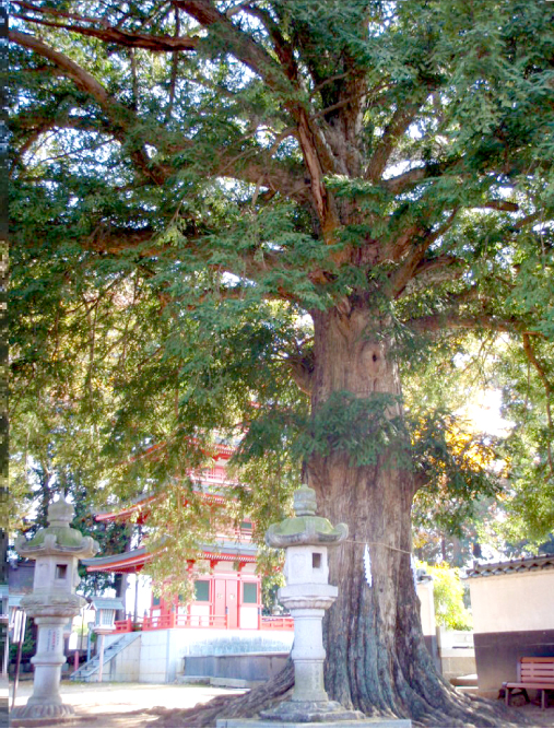 二子塚(母塚)